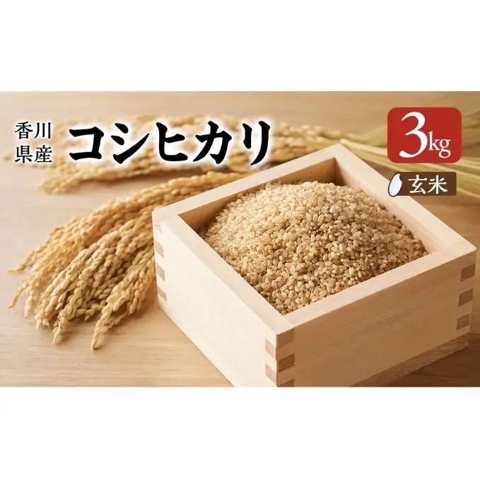 香川県産コシヒカリ（玄米 3kg）玄米 お米