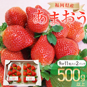 福岡県産 あまおう 2パック（合計500g以上） 【2027年1月上旬～3月下旬発送】 苺 あまおう フルーツ 果実 国産 贈り物 福岡産 糸田町