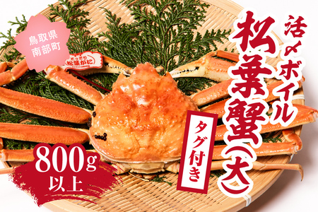 【北海道・沖縄・離島配送不可】【マルツPREMIUM】【タグ付き】活〆ボイル松葉蟹800g以上 松葉ガニ 松葉がに カニ かに 境港 マルツ (MR08)