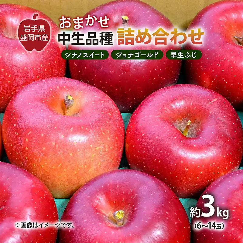 【先行予約】 9月中旬発送開始 りんご 詰め合わせ 2種以上 3kg 藤与果樹園 fujiyo010 りんご