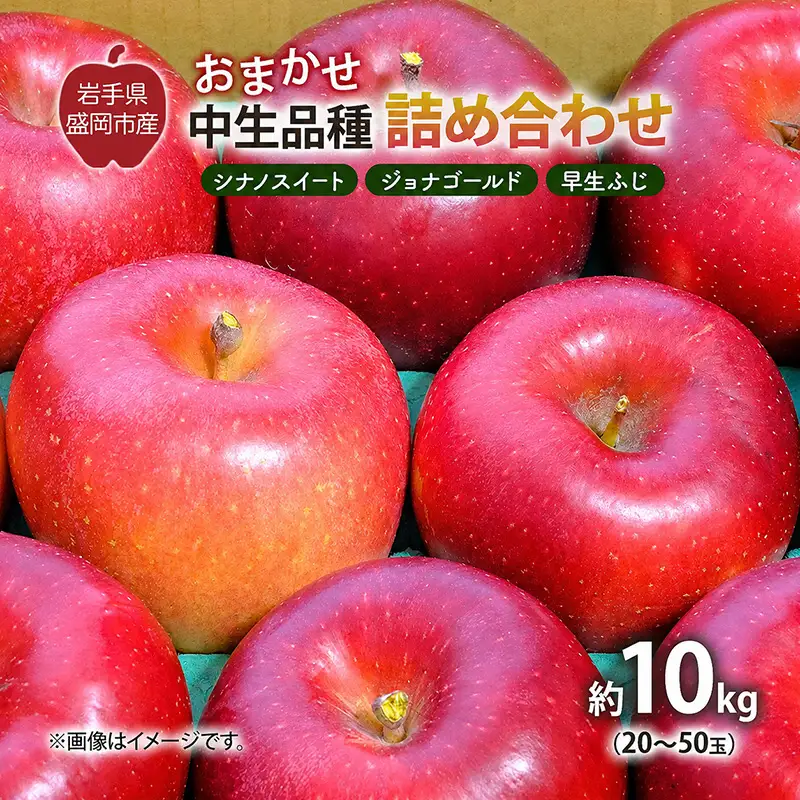 【先行予約】 9月中旬発送開始 りんご 詰め合わせ 2種以上 10kg 藤与果樹園 fujiyo012 りんご
