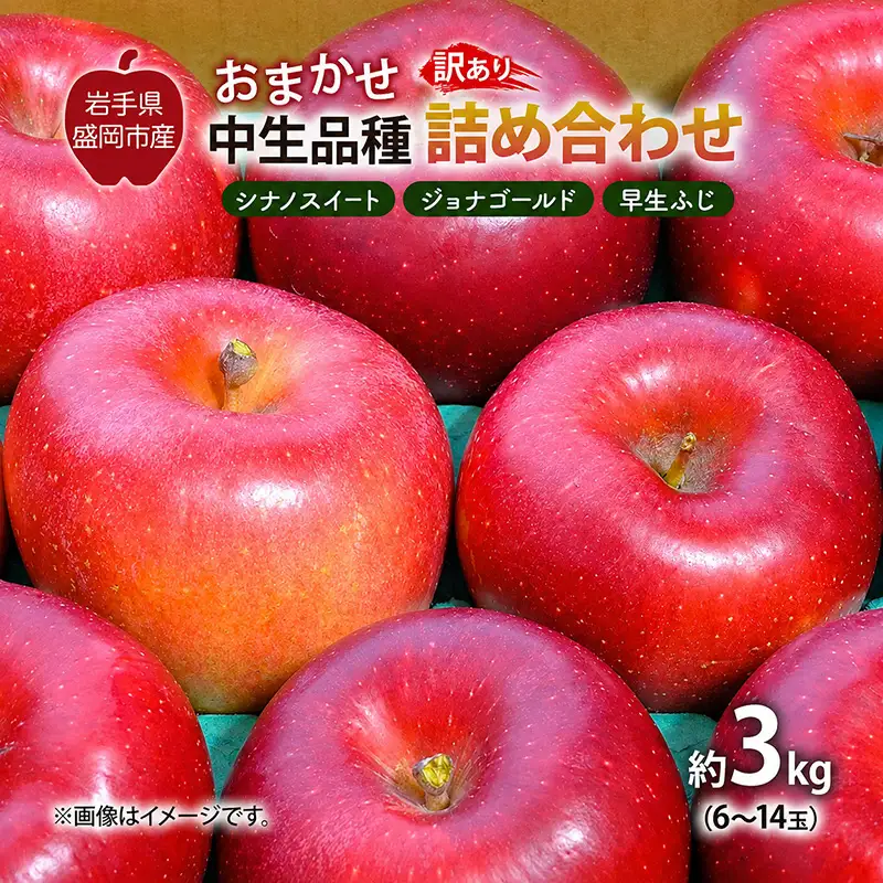 【先行予約】 9月中旬発送開始 訳あり りんご 詰め合わせ 2種以上 3kg 藤与果樹園 fujiyo013 りんご