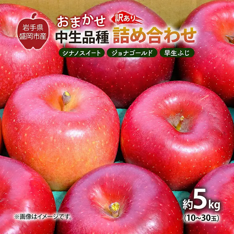 【先行予約】 9月中旬発送開始 訳あり りんご 詰め合わせ 2種以上 5kg 藤与果樹園 fujiyo014 りんご