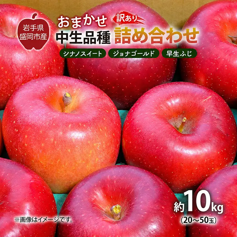 【先行予約】 9月中旬発送開始 訳あり りんご 詰め合わせ 2種以上 10kg 藤与果樹園 fujiyo015 りんご