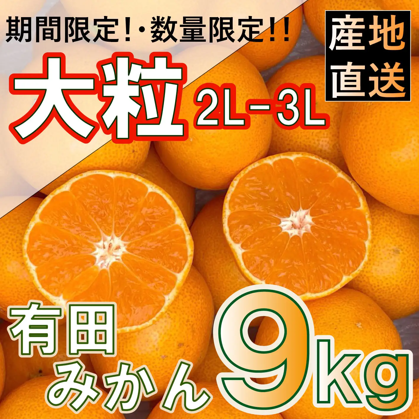 ［先行予約］和歌山県産 有田みかん 大玉 大粒 9kg 2L～3L