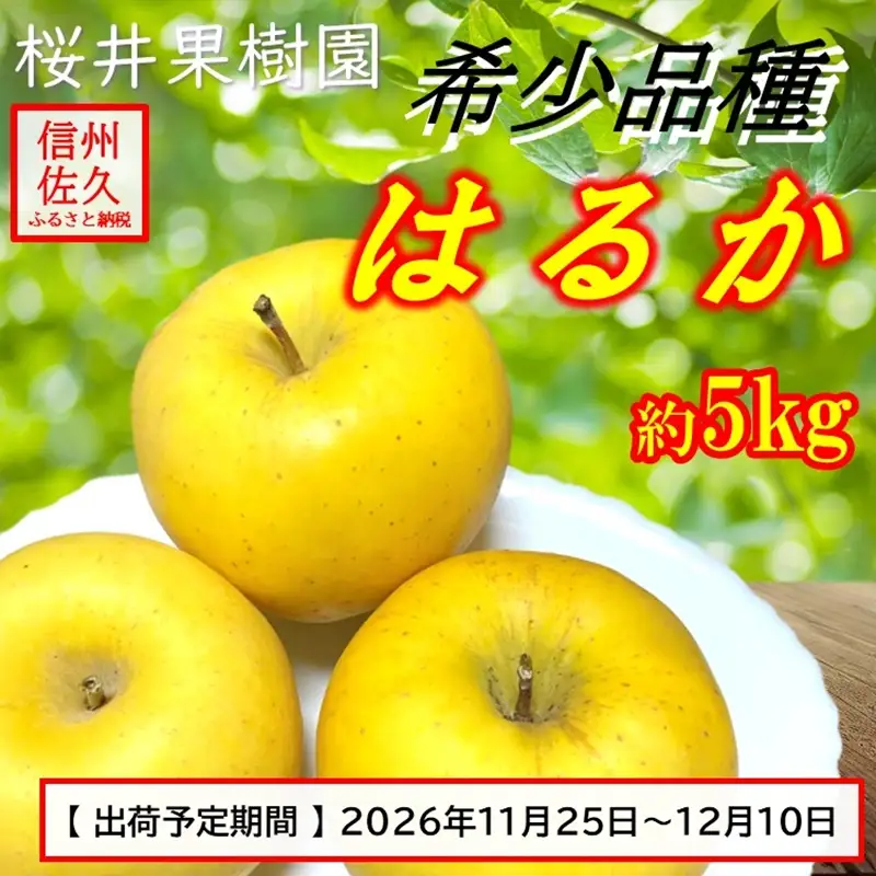 長野県産 りんご 『はるか』  約5kg（18～23玉入）(家庭用)〈2026年11・12月出荷／沖縄・離島は配送不可〉信州 果物 旬彩 期間限定　先行予約