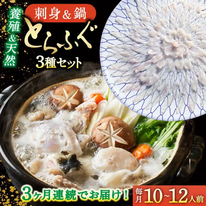 【2027年2月-初回発送】【3回定期便】南島原ふぐ三昧プレミアム 10人-12人前 / ふぐ フグ 河豚 トラフグ ふぐ刺し / 南島原市 / 大和庵 [SCJ033]