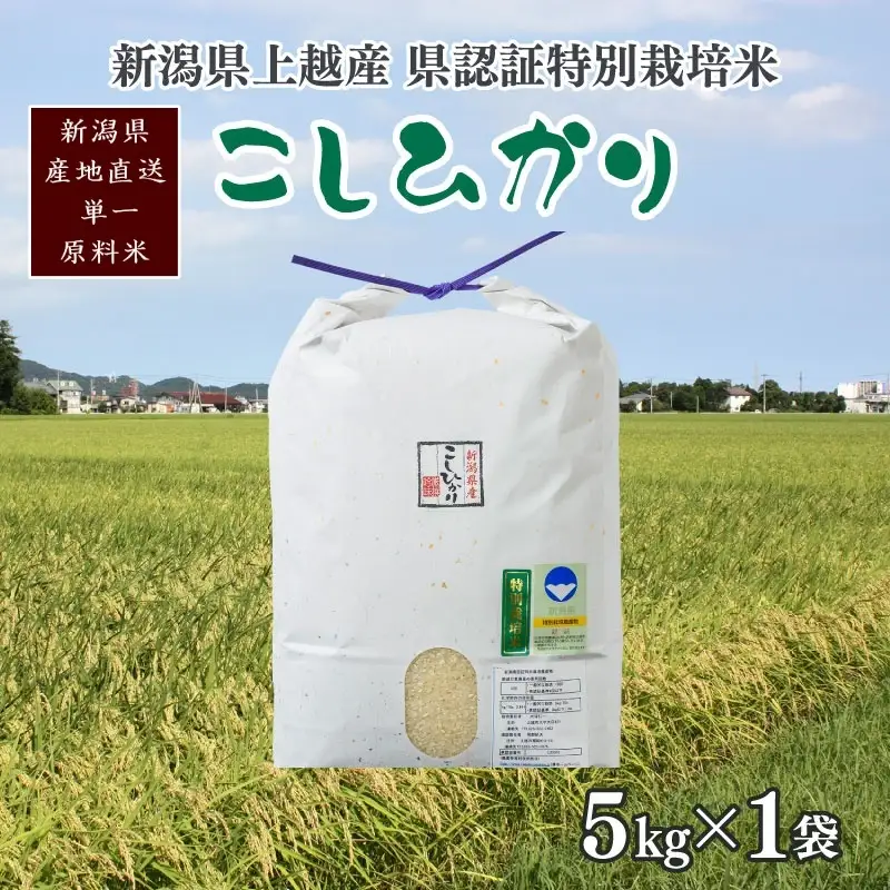 【令和7年産】コシヒカリ 上越産特別栽培米 精米5kg コシヒカリ