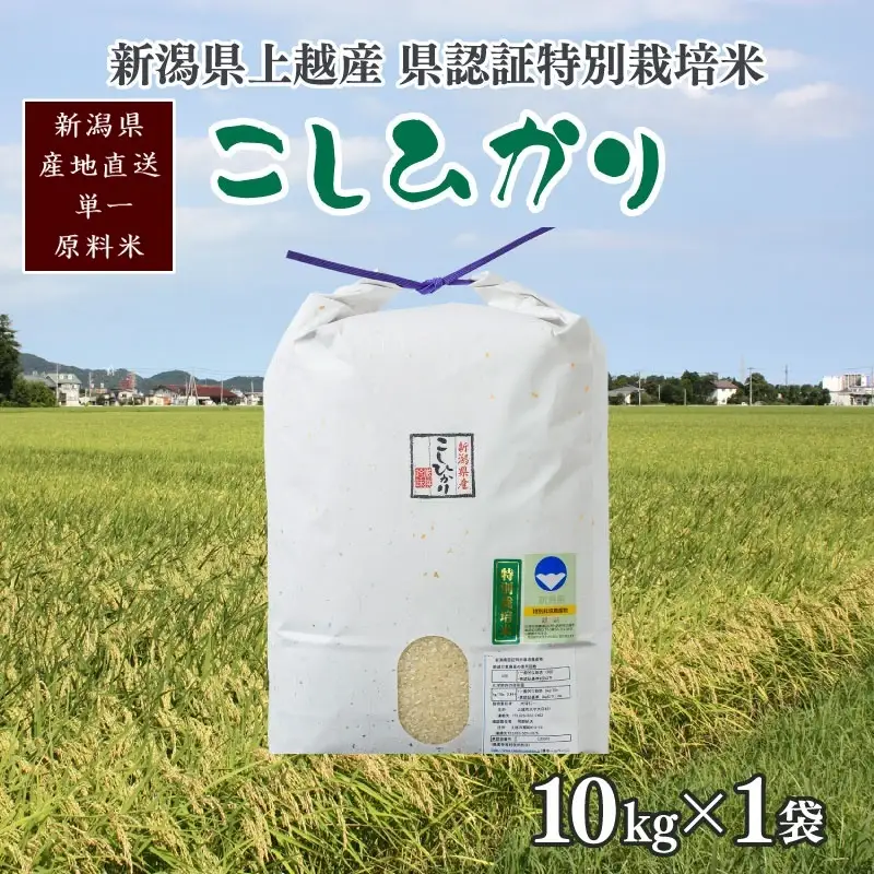 【令和7年産】コシヒカリ 上越産特別栽培米 精米10kg コシヒカリ