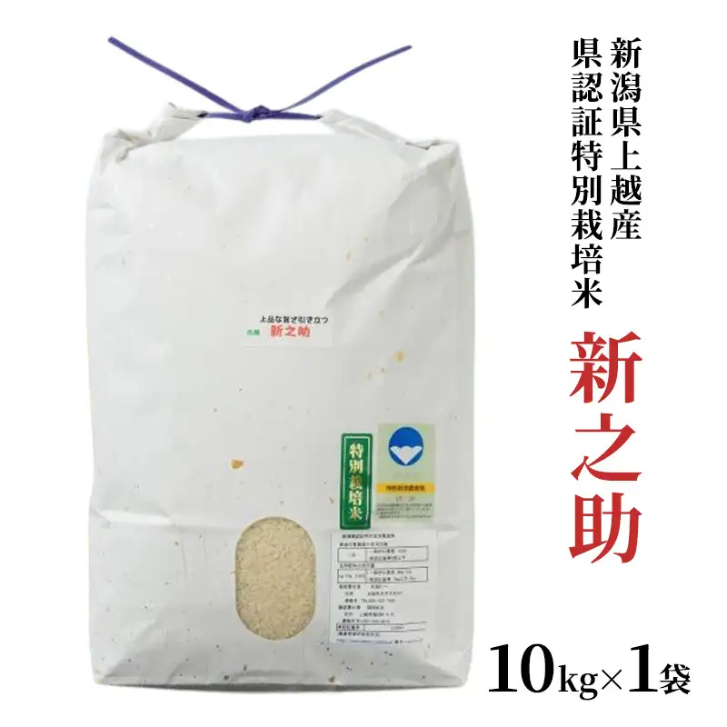 【令和7年産】新之助 上越産ブランド米 精米10kg 新之助