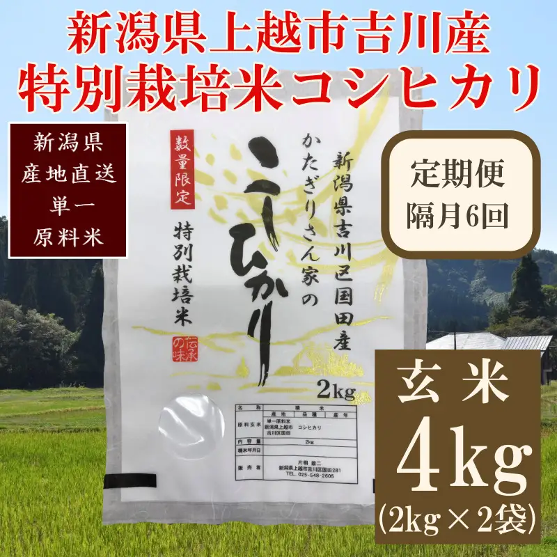 【隔月定期便6回】特別栽培米 コシヒカリ 玄米4kg こしひかり コシヒカリ