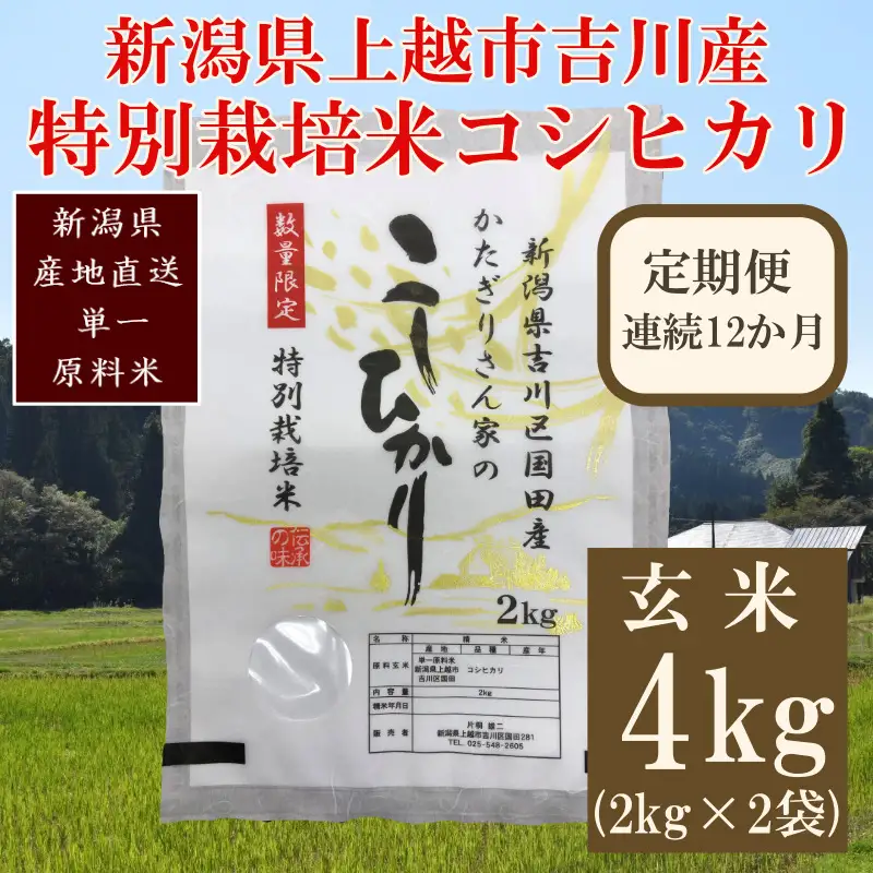 【定期便12ヶ月】特別栽培米 コシヒカリ 玄米4kg こしひかり コシヒカリ