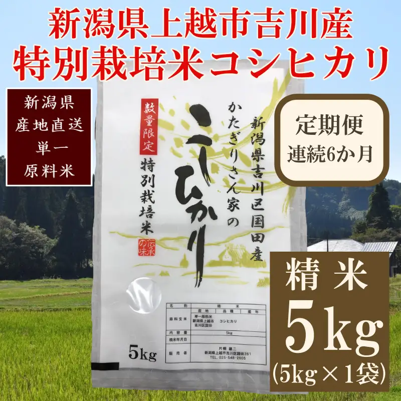 【定期便6ヶ月】特別栽培米 コシヒカリ 精米5kg 上越産 コシヒカリ