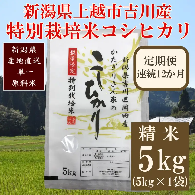 【定期便12ヶ月】特別栽培米 コシヒカリ 精米5kg 上越産 コシヒカリ