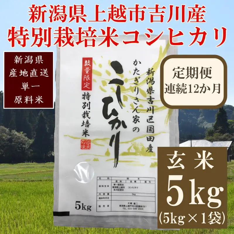 【定期便12ヶ月】減農薬 特別栽培米 コシヒカリ 玄米5kg コシヒカリ