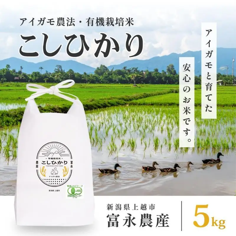 令和7年 新潟県産コシヒカリ アイガモ農法 5kg 5キロ JAS有機栽培米 上越市 三和区神田 富永農産 送料無料 安全・安心こしひかり