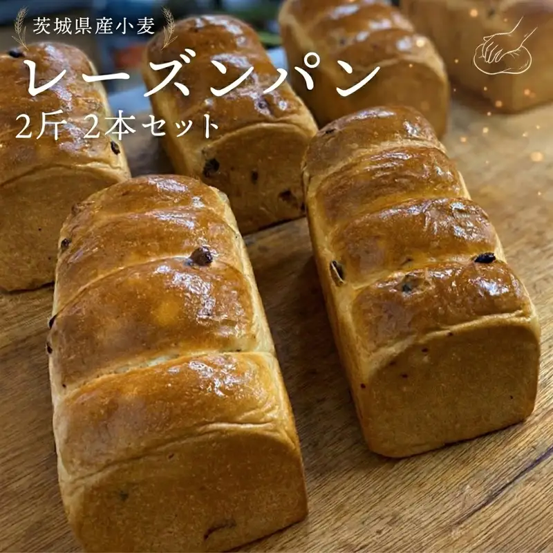 茨城県産 小麦の レーズンパン 2斤 2本 セット