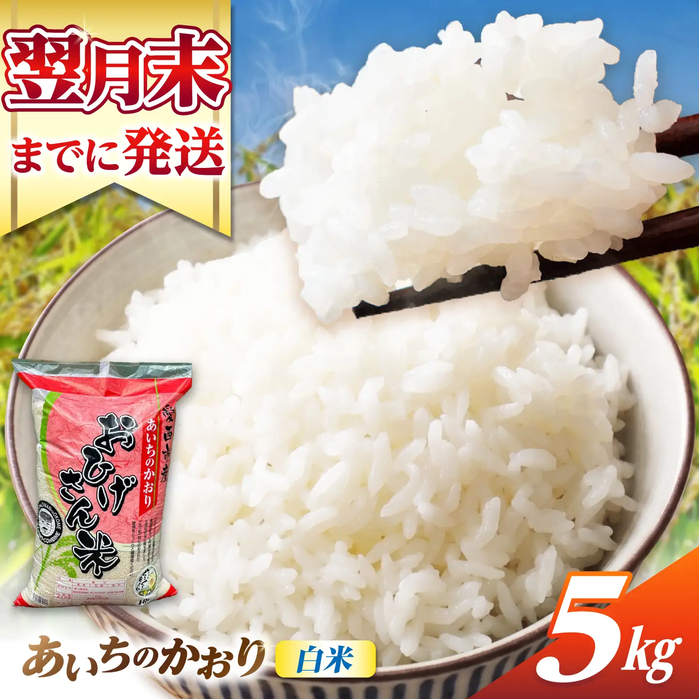 あいちのかおり 白米 5kg [AECP001-12] 白米