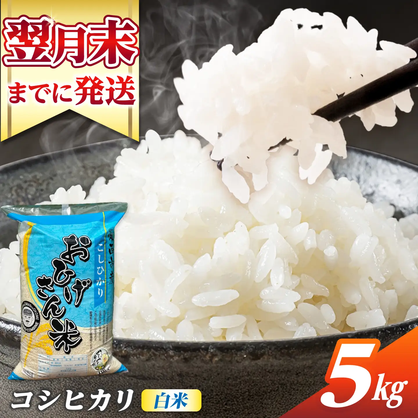 コシヒカリ 白米 5kg [AECP021-1] コシヒカリ