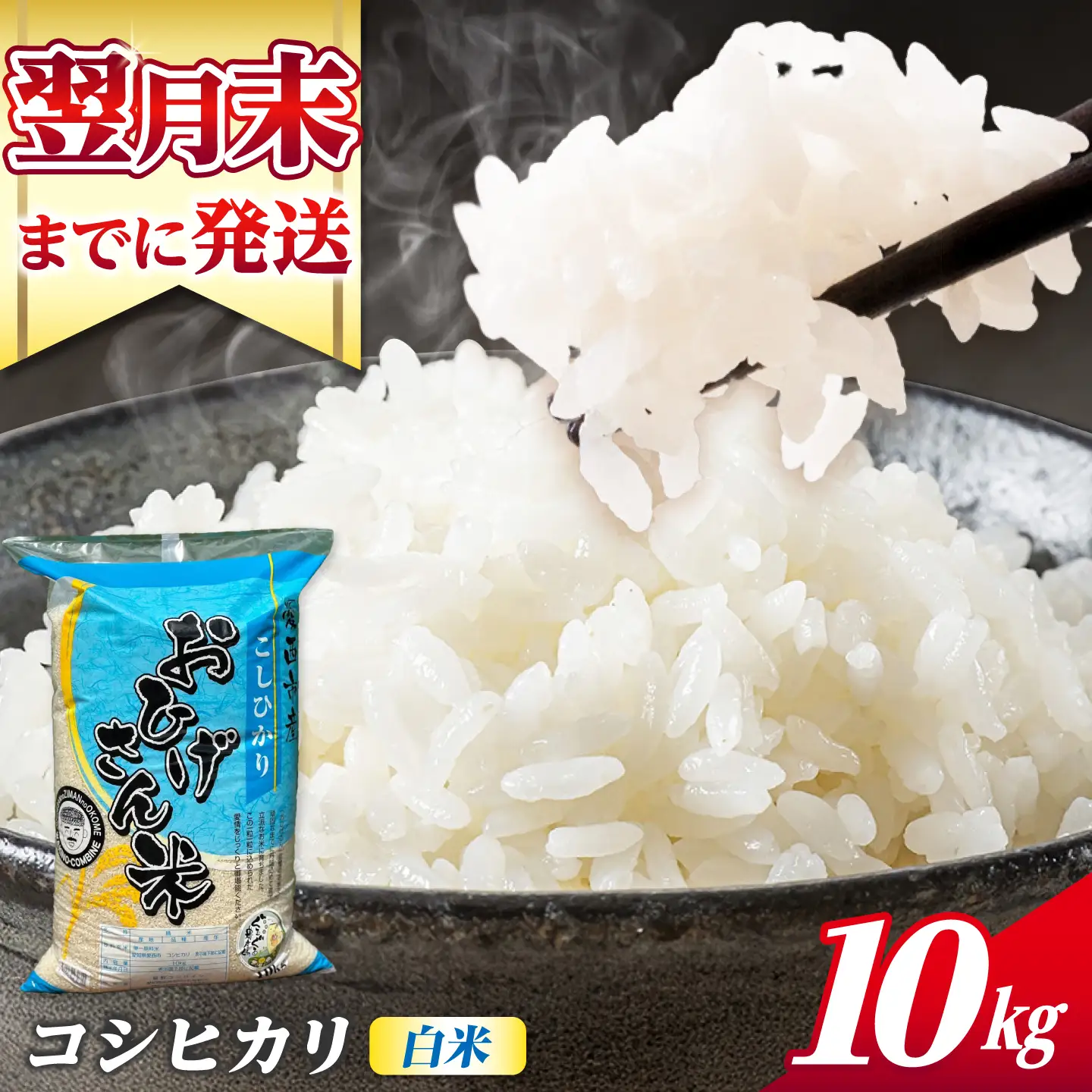 コシヒカリ 白米 10kg [AECP022-1] コシヒカリ