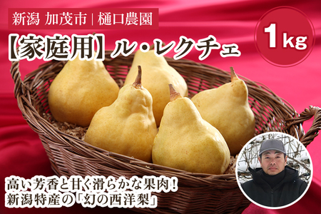 【2026年先行予約】【家庭用】西洋梨 ル・レクチェ 1kg（2～3玉）《11月下旬～順次発送》 果物 梨 洋梨 西洋梨 フルーツ 訳あり 冬の味覚 デザート 産地直送 加茂市 樋口農園 梨