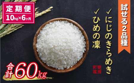 先行予約 新米 令和6年産 定期便 10kg × 6回 にじのきらめき (3回) ひめの凜 (3回) 合計 60kg 96000円 お米 白米 精米 米 こめ 食べ比べ 産地直送 国産 期間 数量 限定 特産品 令和6年度産 2024年産 新品種 人気 ブランド 大粒 もっちり 甘み 冷めても おいしい おにぎり コシヒカリ に負けない 贈答品 お返し プレゼント お礼 お取り寄せ 愛南町 愛媛県 お米 お米 お米 お米 お米 お米 お米 お米 お米 お米 お米 お米 お米 お米 お米 お米 お米 お米 お米 お米 お米 お米 お米 お米 お米 お米 お米 お米 お米 お米 お米 お米 お米 お米 お米 お米 お米 お米 お米 お米 お米 お米 お米 お米 お米 お米 お米 お米 お米 お米 お米 お米 お米 お米 お米 お米 お米 お米 お米 お米 お米 お米 お米 お米 お米 お米