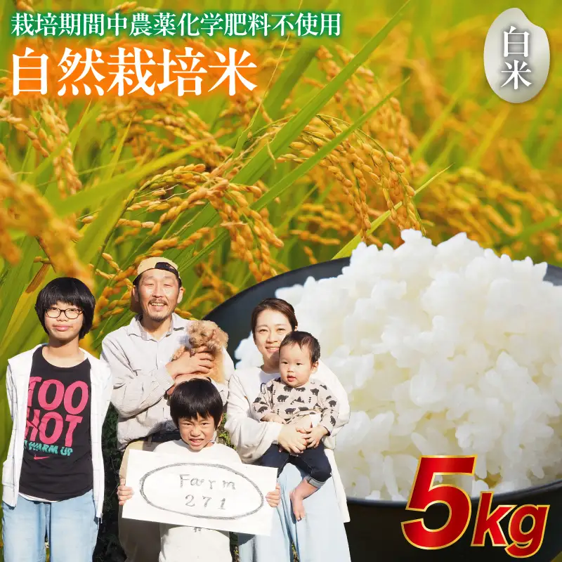令和7年度産 自然栽培米 こしひかり 5kg 精米 白米