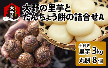 【先行予約】大野の里芋とたんちょう餅の詰め合わせA（里芋3kg+丸餅8個入り×1袋）【2026年11月30日より順次発送】[A-001069]