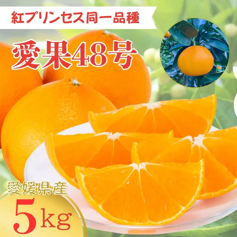 【2027年3月上旬より順次発送予定】愛果48号 5kg M～4Lサイズ｜C93