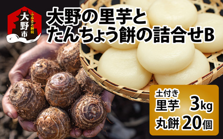 【先行予約】大野の里芋とたんちょう餅の詰め合わせB（里芋3kg+丸餅20個入り×1袋）【2026年11月30日より順次発送】[A-001070]