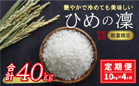 先行予約 新米 令和6年産 定期便 10kg × 4回 ひめの凜 合計 40kg 68000円 お米 白米 精米 米 こめ 産地直送 国産 農家直送 期間限定 数量限定 特産品 事前 令和6年度産 2024年産 新品種 人気 ブランド 大粒 もっちり 甘み 冷めても おいしい おにぎり コシヒカリ に負けない 内祝い お祝い 贈答品 お返し プレゼント 土産 御礼 お礼 お取り寄せ 愛南町 愛媛県 お米 お米 お米 お米 お米 お米 お米 お米 お米 お米 お米 お米 お米