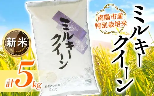 【令和8年産 新米 先行予約】 【金賞受賞農家】 特別栽培米 ミルキークイーン 5kg 《令和8年9月下旬～発送》 『あおきライスファーム』 山形南陽産 米 白米 精米 ご飯 農家直送 山形県 南陽市 [1549-R8]