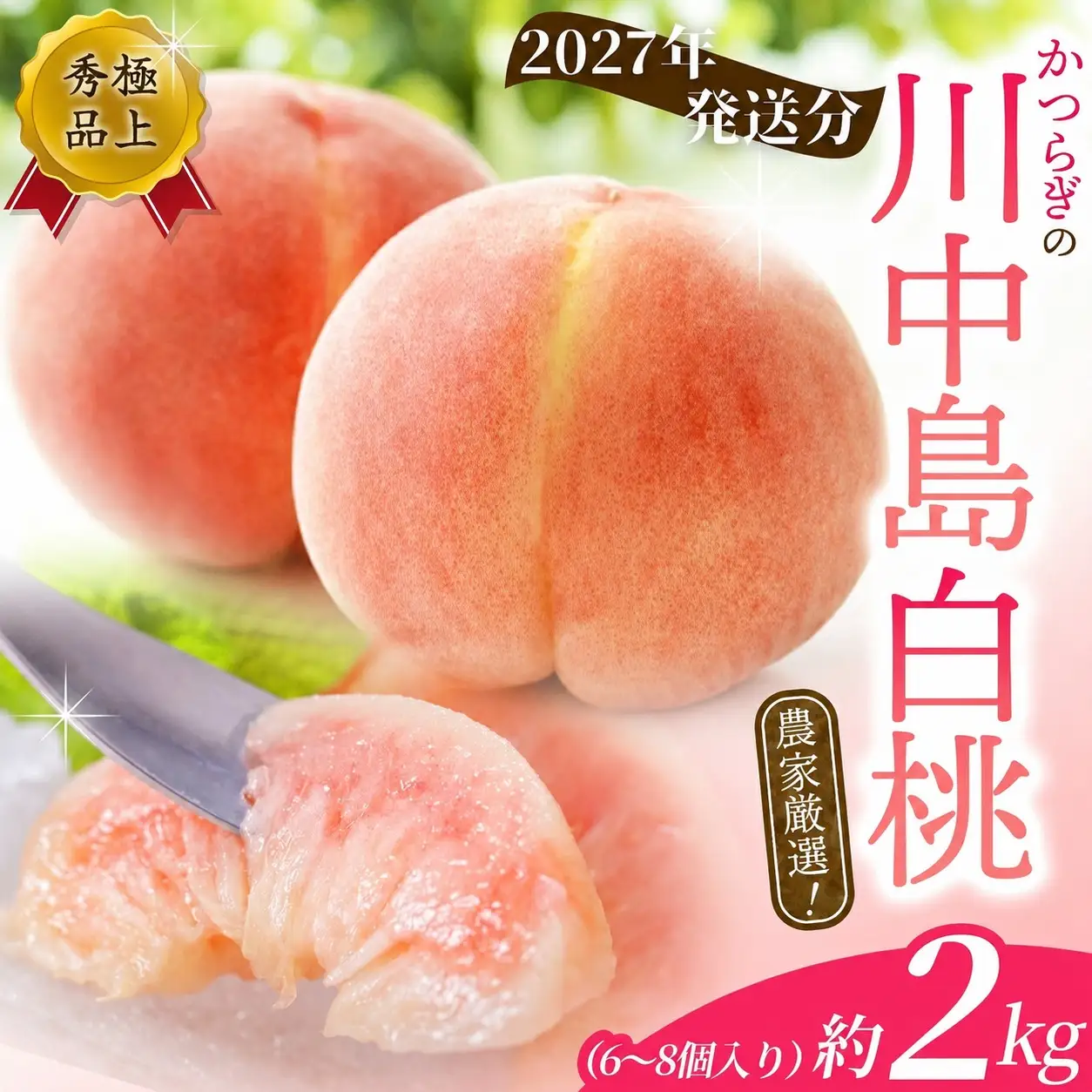 桃 白桃 川中島白桃　約2kg 6～8個入【秀品】【2027年7月下旬頃から８月下旬頃順次発送】【BK013-kgr011A】