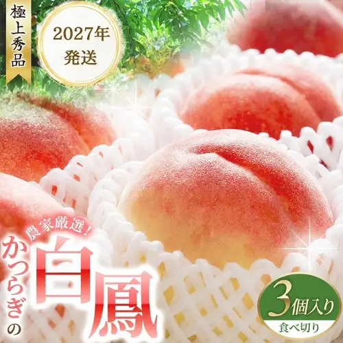 桃 白鳳   3個入り 秀品 ※2027年6月20日～7月30日発送予定 【BK017-kgr010】