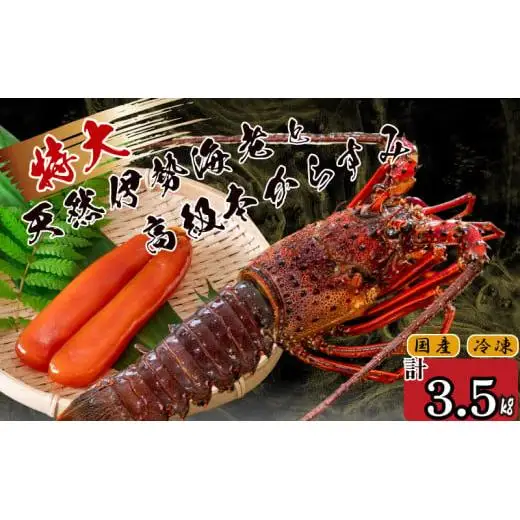 【 からすみ 】 からすみと伊勢海老5匹