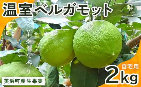 美浜町産温室ベルガモット　生果実『自宅用2kg入り』　※2025年11月上旬頃～2026年2月下旬頃に順次発送予定