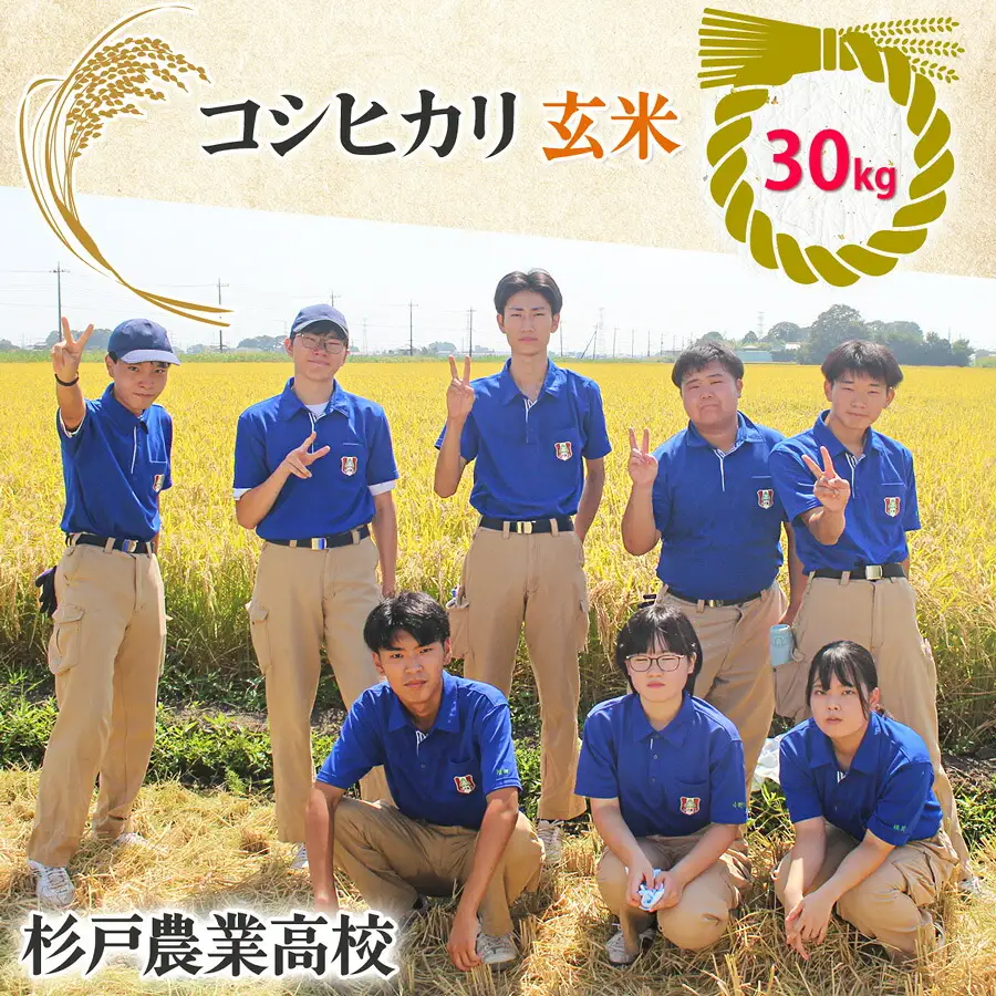 新米 コシヒカリ (玄米) 30kg | 杉戸農業高校 埼玉県 杉戸町