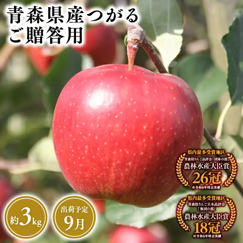 りんご 贈答用 つがる3kg　 [hi-0053-008]