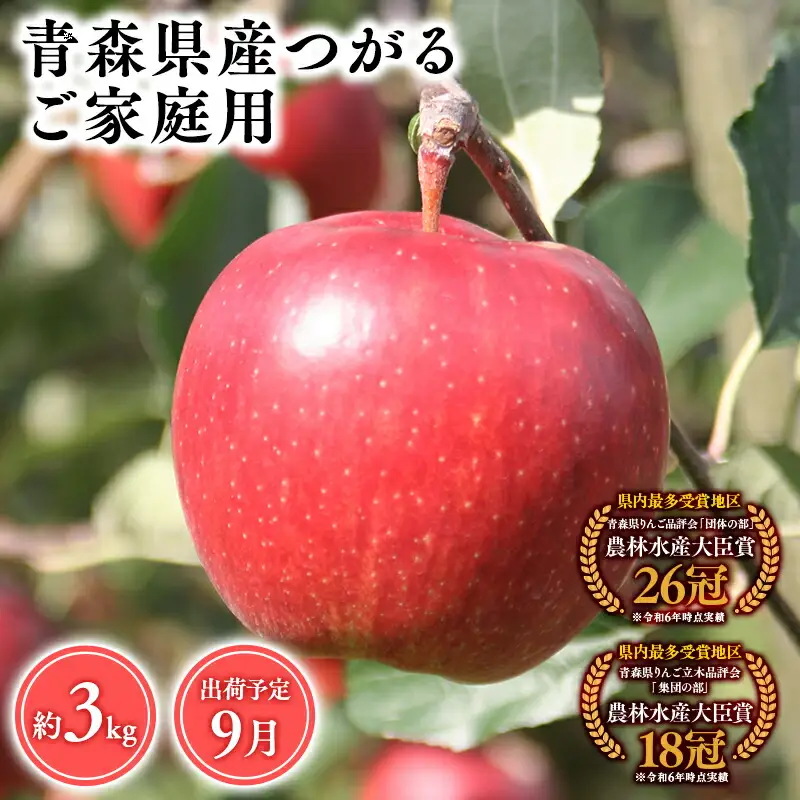 りんご 家庭用 つがる3kg 青森県平川市産  [hi-0053-011]