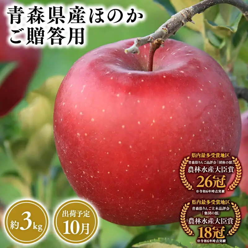 りんご 贈答用 ほのか3kg 青森県平川市産 [hi-0053-014]