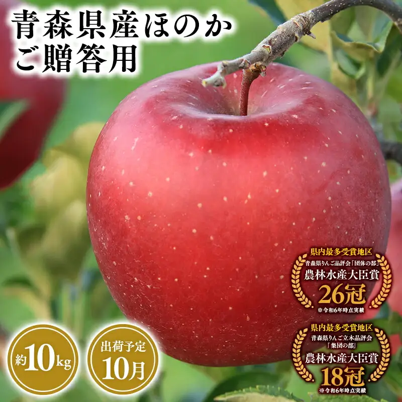 りんご 贈答用 ほのか10kg 青森県平川市産 [hi-0053-016]