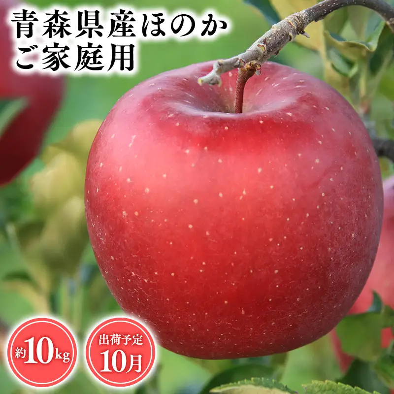 りんご 家庭用 ほのか10kg 青森県平川市産 [hi-0053-019]