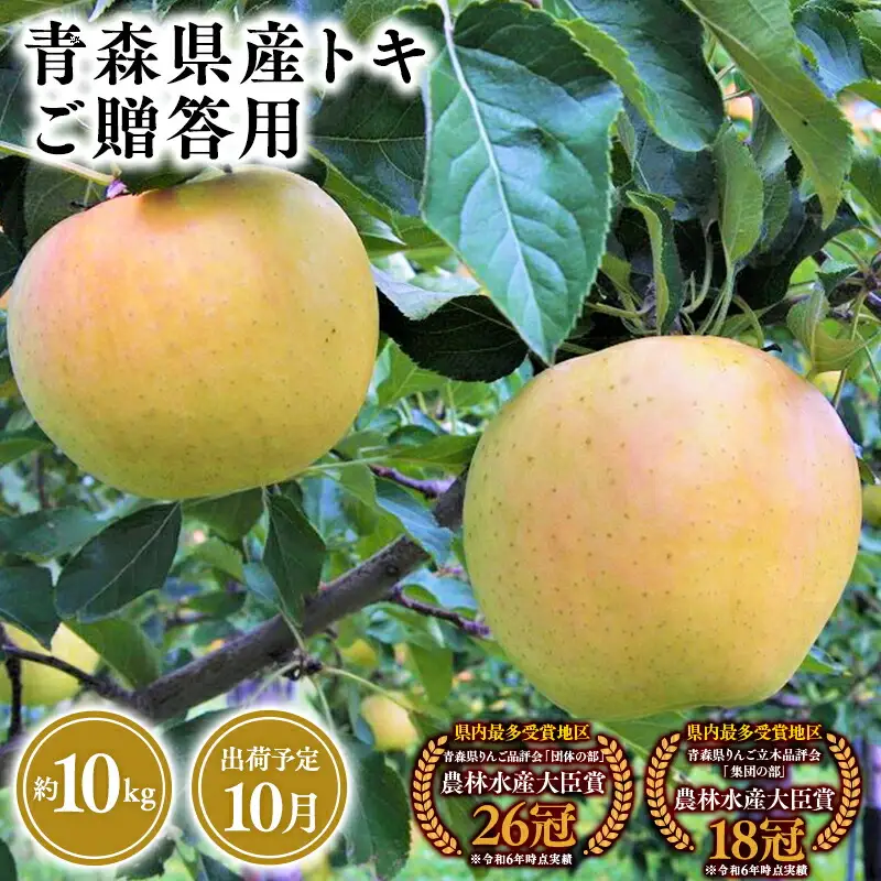 りんご 贈答用 トキ10kg [hi-0053-022]