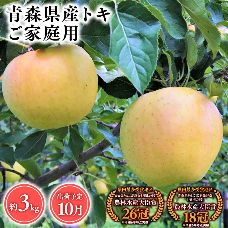 りんご 家庭用 トキ3kg  [hi-0053-023]