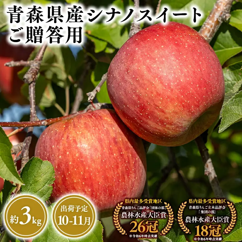 りんご 贈答用 シナノスイート3kg [hi-0053-026]