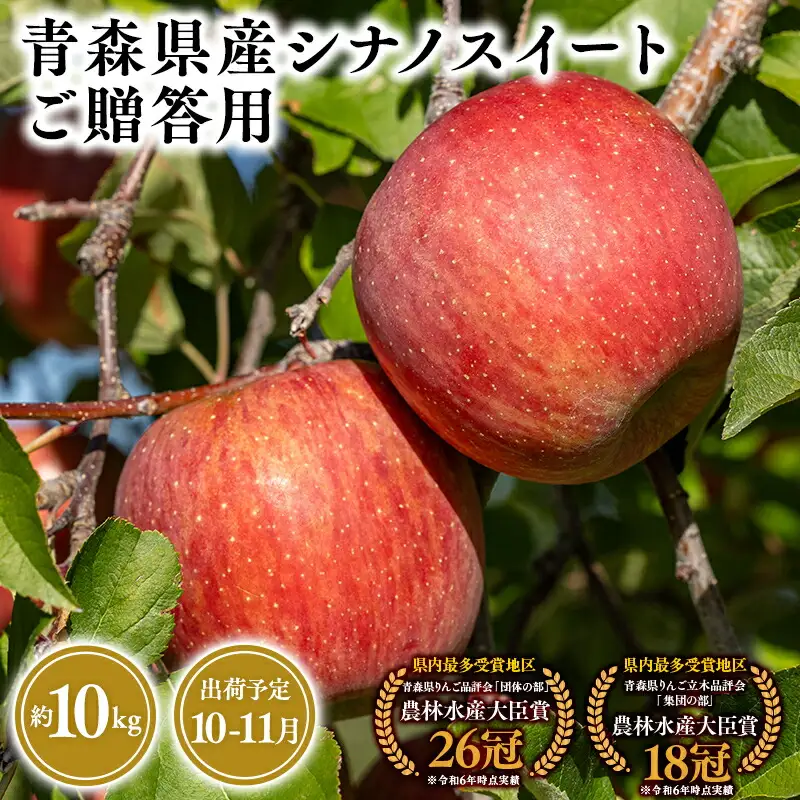 りんご 贈答用 シナノスイート10kg [hi-0053-028]
