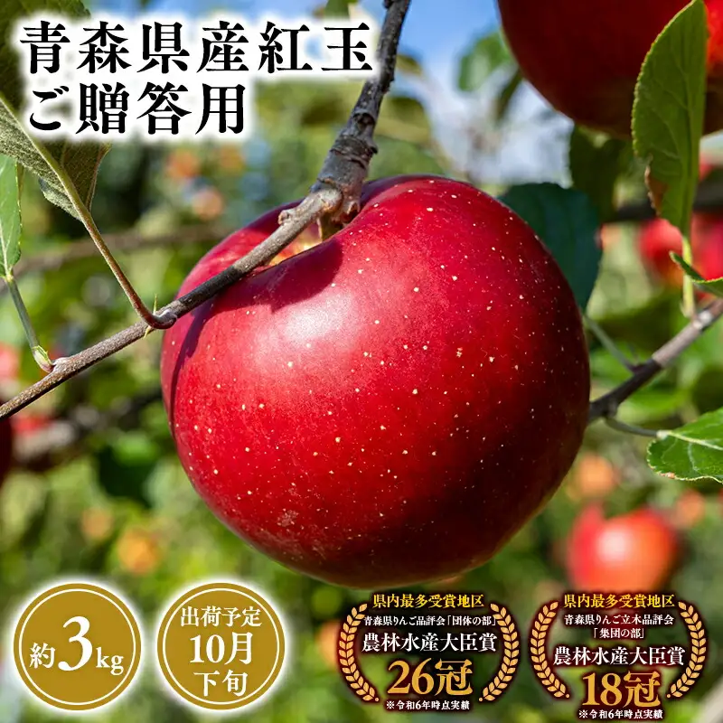 りんご 贈答用 紅玉3kg  [hi-0053-032]