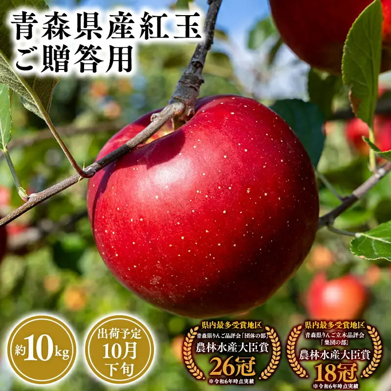 2026年産１０月発送　贈答用紅玉10ｋｇ　【そと川りんご園・１０月・青森県産・平川市・りんご・紅玉・10ｋｇ・贈答用】りんご リンゴ 林檎 りんご 青森 平川市産 [hi-0053-034]