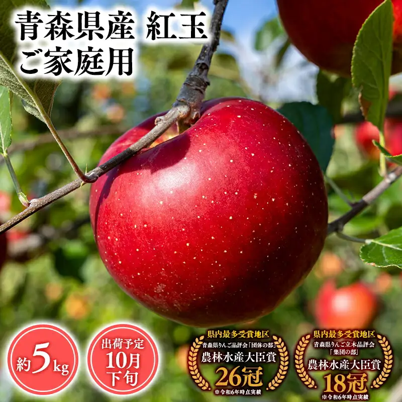 りんご 家庭用 紅玉5kg [hi-0053-036]