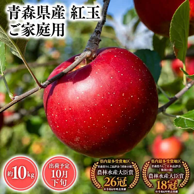 りんご 家庭用 紅玉10kg  [hi-0053-037]
